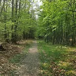 Maison 3 Personnes Entre Et Foret 度假居 *