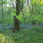 度假居 Maison 3 Personnes Entre Et Foret Lery (Eure)