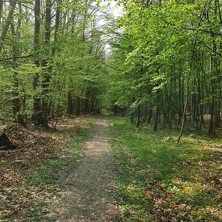 Maison 3 Personnes Entre Et Foret Vakantiehuis *