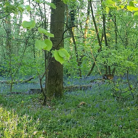 Vakantiehuis Maison 3 Personnes Entre Et Foret Lery (Eure)