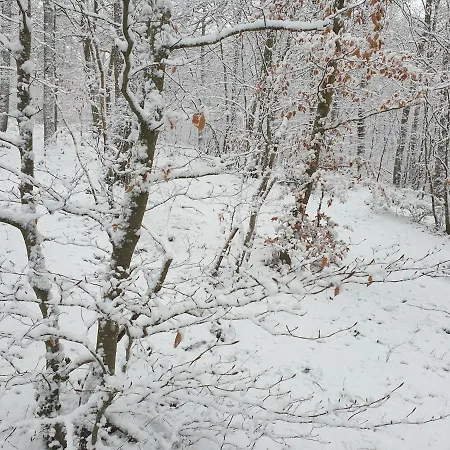 Vakantiehuis Maison 3 Personnes Entre Et Foret Lery (Eure)